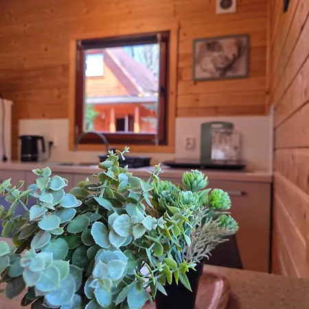 Prázdninový dům Letniskowe Nad Jeziorem Lesnianskim